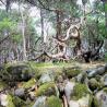 images/Schweden/Schweden 2009/IMG_4500.jpg